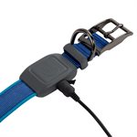 Nite Ize NiteDog Rechargeable LED Collar - Large - Blue
