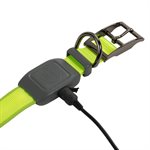 Nite Ize NiteDog Rechargeable LED Collar - Medium - Lime Green