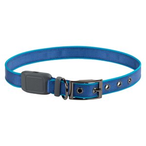Nite Ize NiteDog Rechargeable LED Collar - Extra-Large - Blue