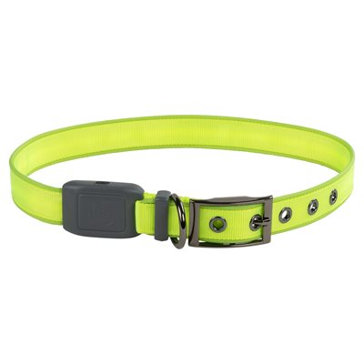 Nite Ize NiteDog Rechargeable LED Collar - Extra-Large - Lime Green